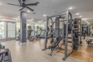 Modern gym with weightlifting equipment and cardio machines, featuring a clean and spacious exercise environment.